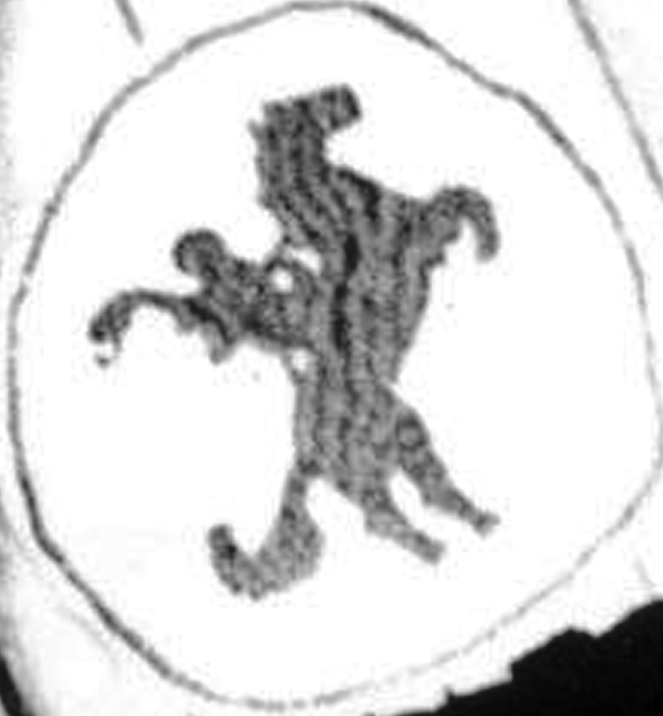 En 1955, La LVBP da a conocer que el equipo Pampero sustituirá al Venezuela a partir de la temporada 1955-56.